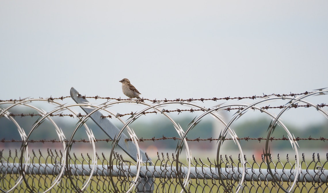 Medium-Security Prison 1 pexels amazingd 12798608