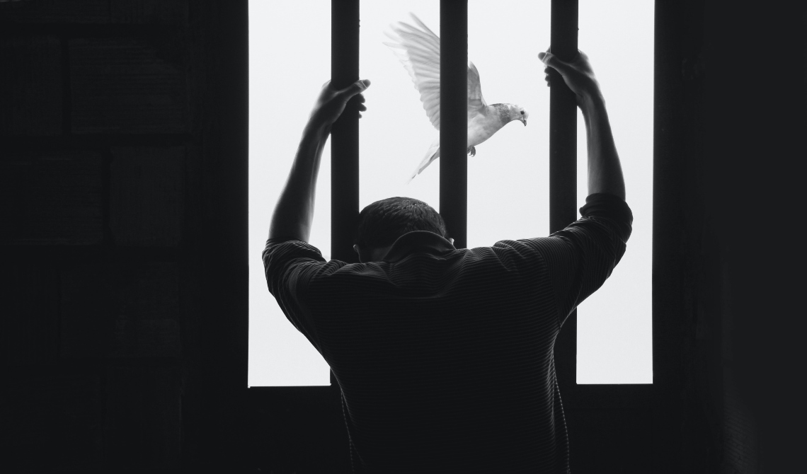 hasan almasi aIRBGPafi74 unsplash 1